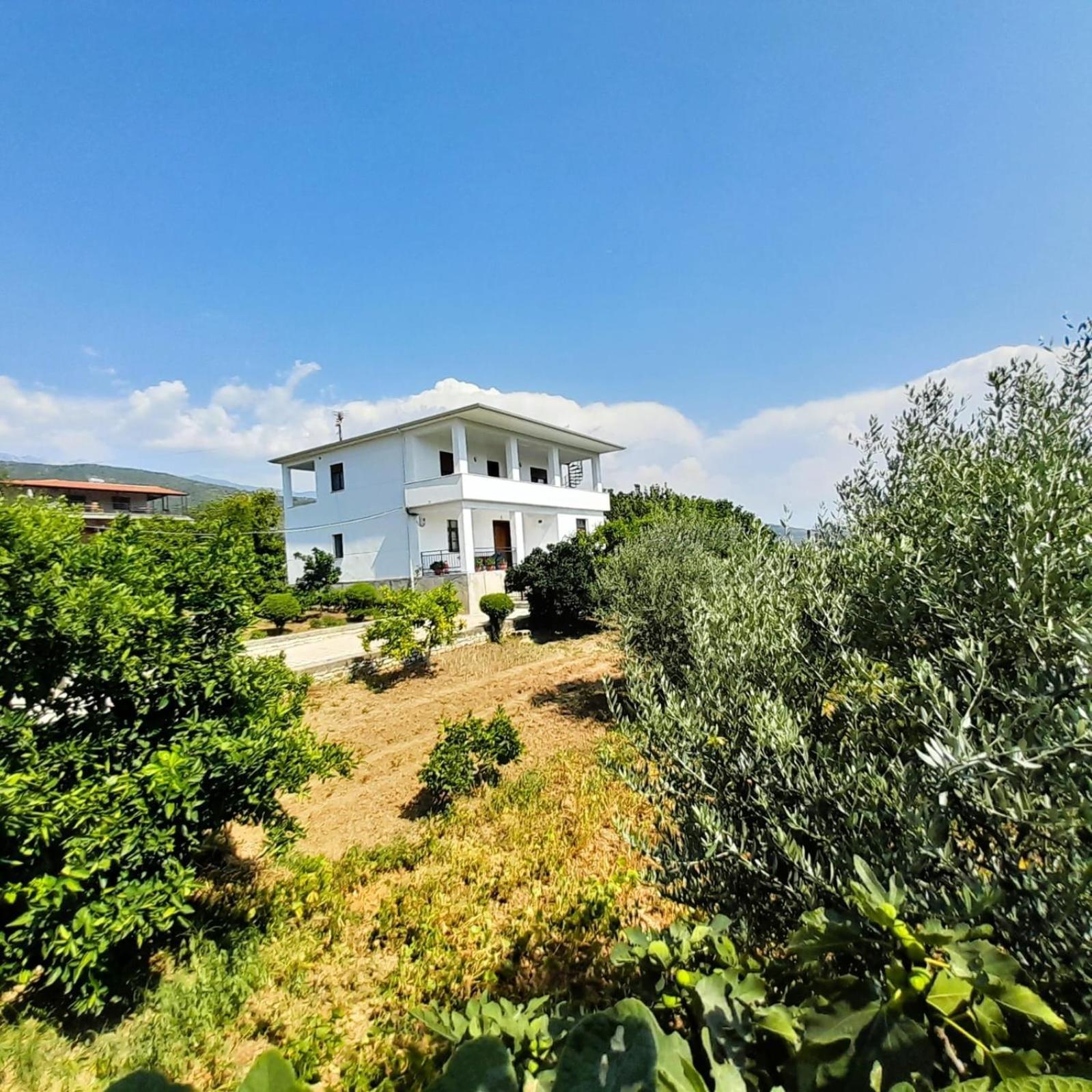 Villa Besart Berat Exterior foto