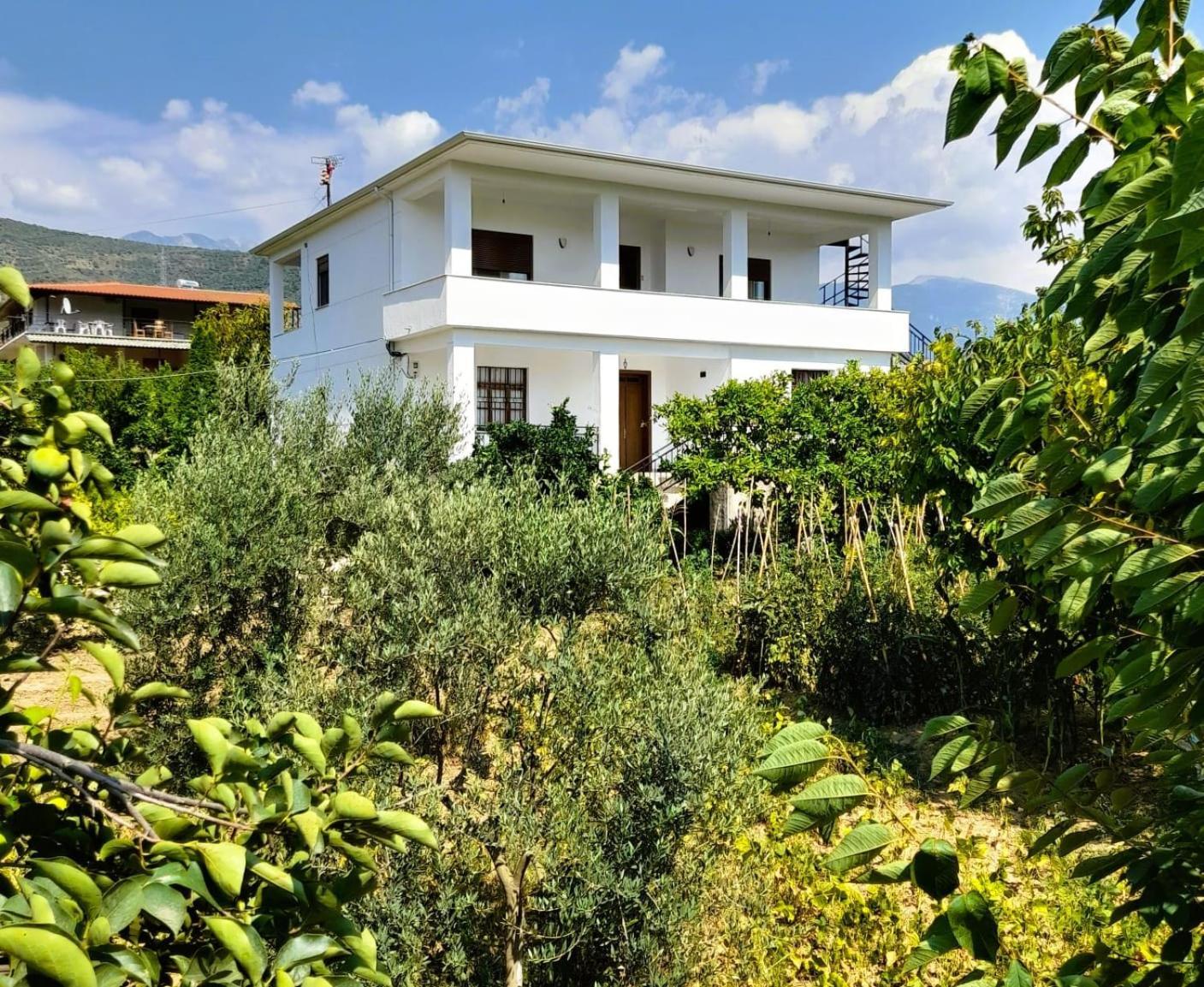 Villa Besart Berat Exterior foto